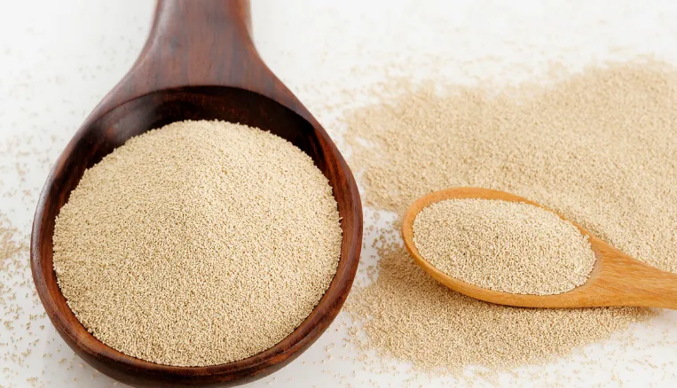 Yeast powder